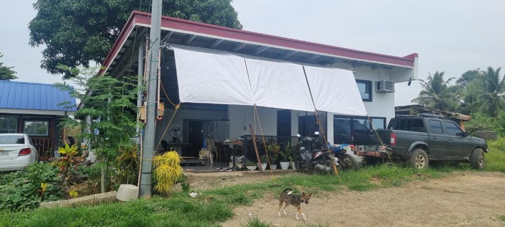 a house with a dog standing in front of it at Hilltop Haven 