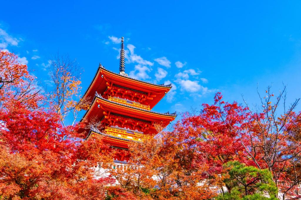 Fotografie z fotogalerie ubytování Tokyu Stay Kyoto Sakaiza Shijo Kawaramachi v Kjótu