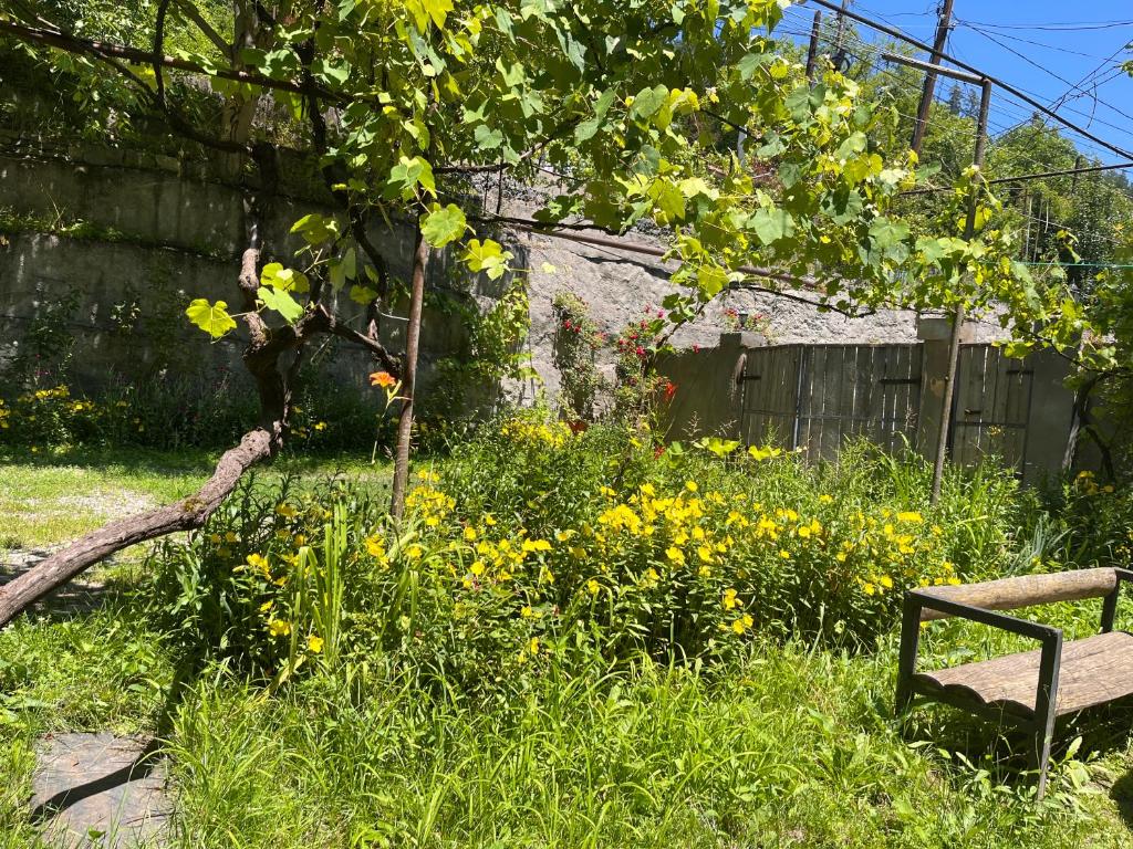 Zahrada ubytování Borjomi Makvala's Guest House