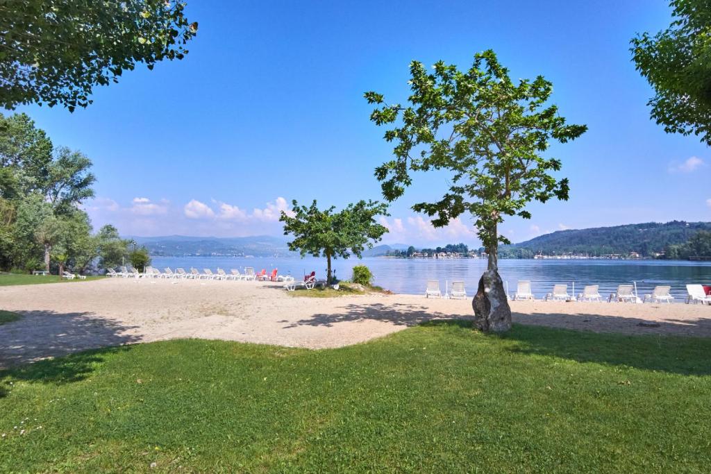 a beach with chairs and a tree in the grass at Lake Maggiore 2 Minutes Apartment in Dormelletto