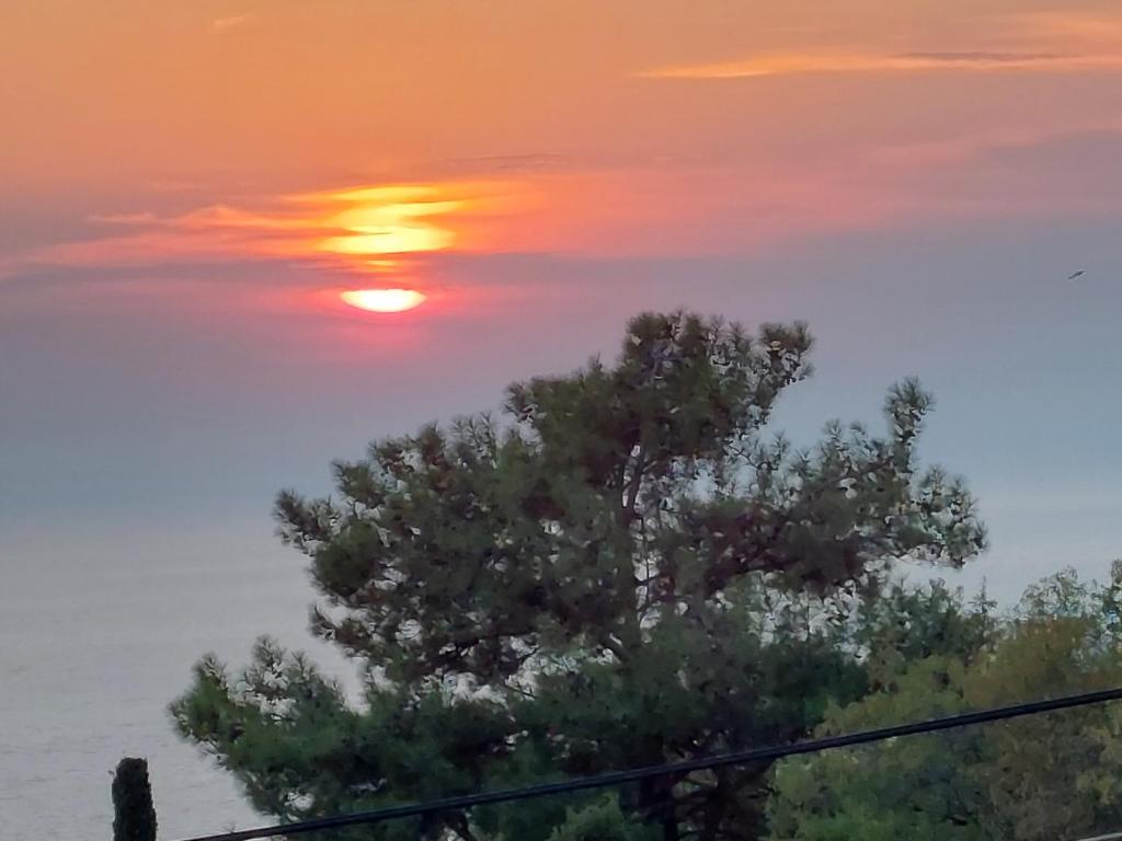 a sunset with a tree in the foreground at PORTO KATSIKI-HOME in Athanion
