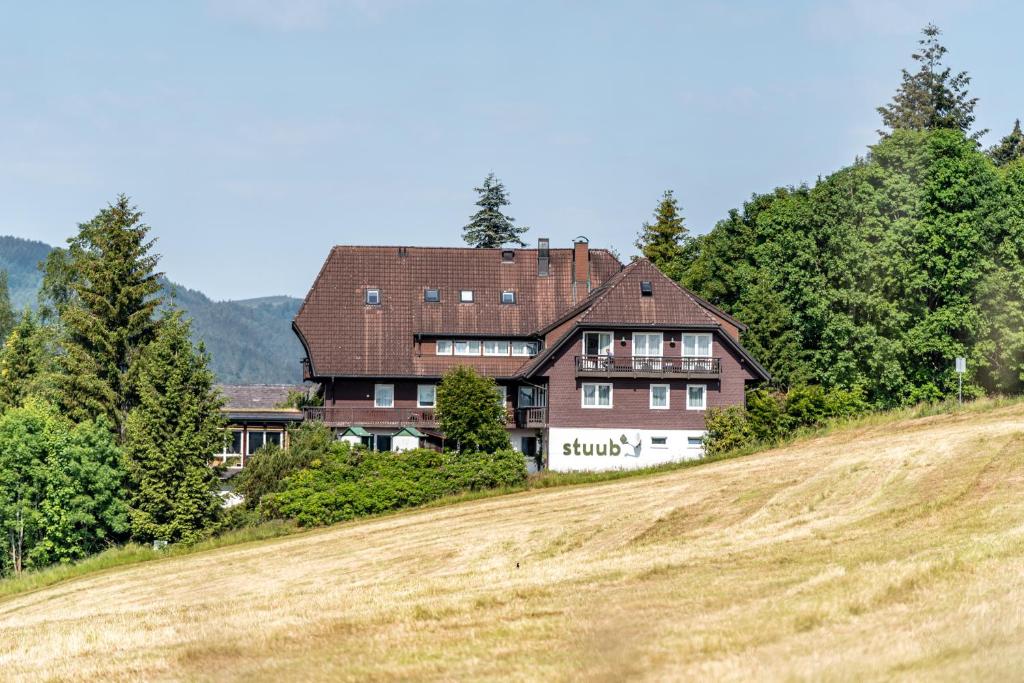 Příroda nedaleko hotelu