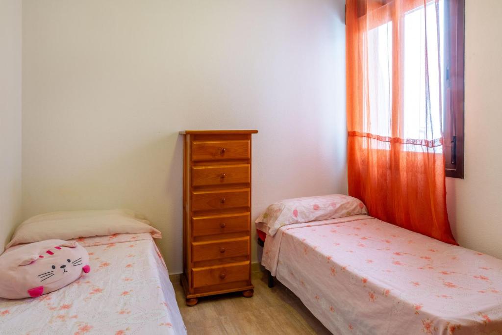 Apolo66-3, Torrevieja – Precios actualizados 2023