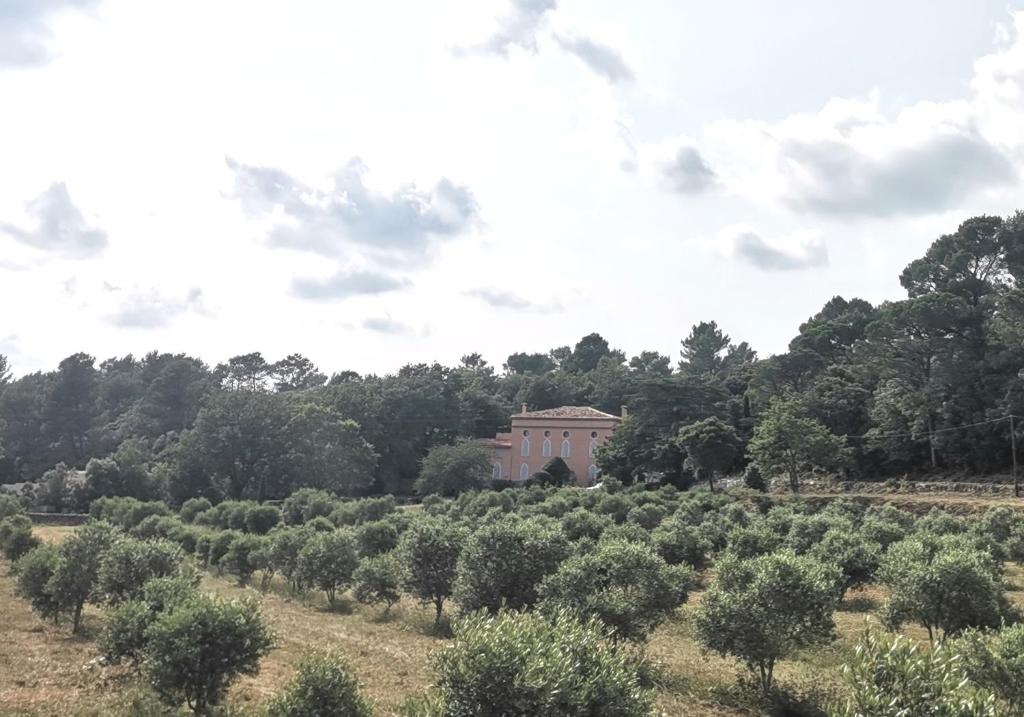 a house in the middle of a field of trees at Domaine de la Bastide Basse in Signes