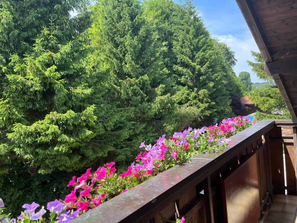Gästehaus Forggensee - Chambre Quadruple Avec Balcon