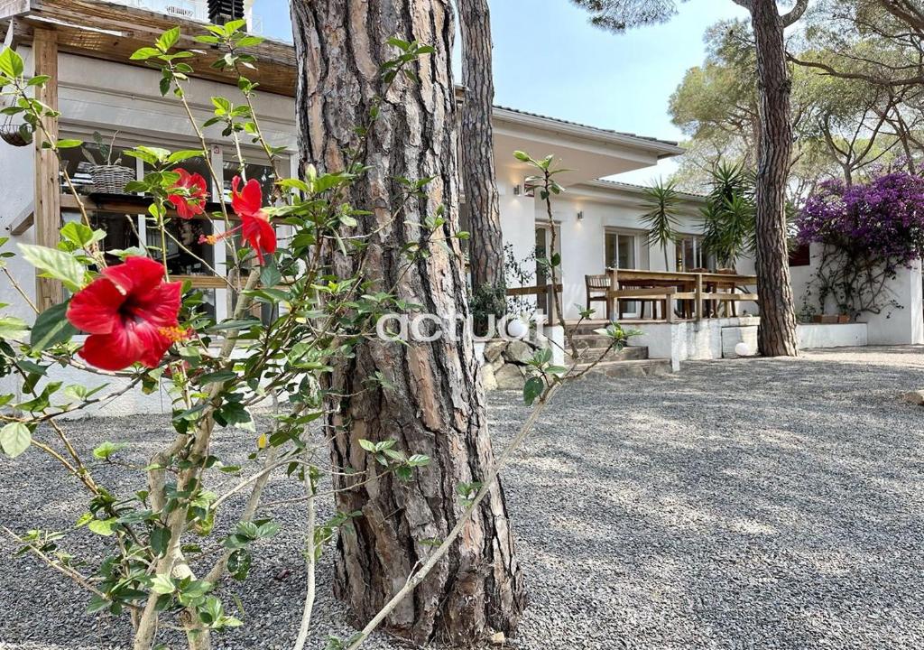 Fotografia z galérie ubytovania CASA GIRASOL 3 v destinácii S'Agaro