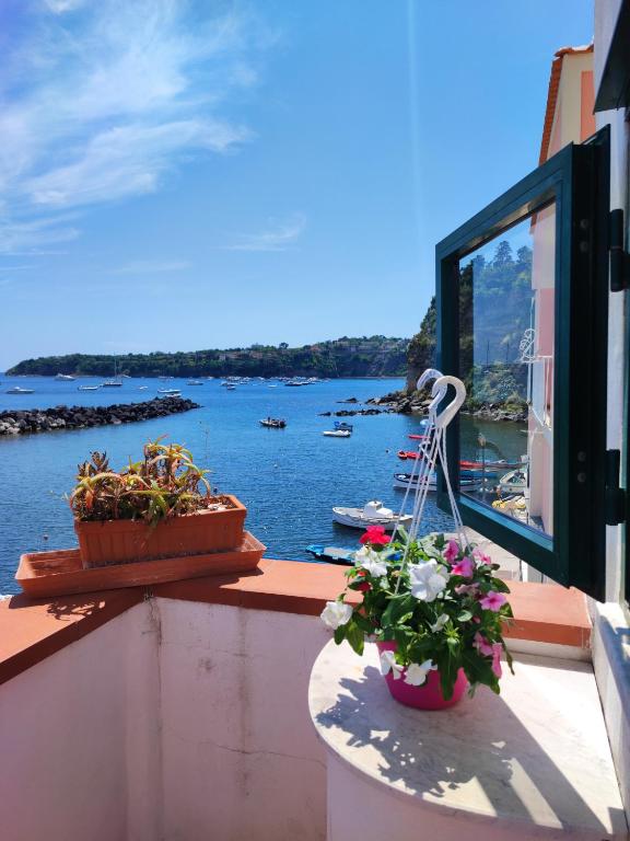 einen Balkon mit zwei Pflanzen und Blick auf das Wasser in der Unterkunft La casa di Nonna Rosa in Procida