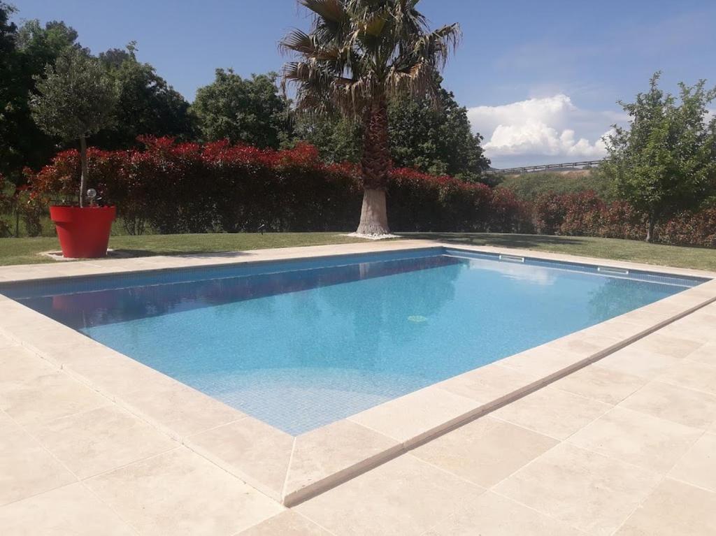 - une piscine dans une cour avec un palmier dans l'établissement Villa Les palmiers, à Besse-sur-Issole