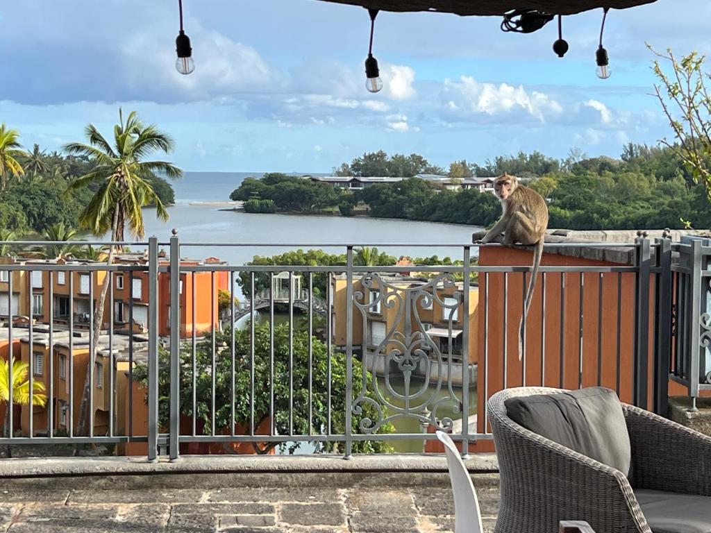 Ein Mann, der auf einem Balkon mit Blick auf das Wasser sitzt in der Unterkunft Cozy one bedroom apartment in a secure complex , PORT CHAMBLY Mauritius in Terre Rouge