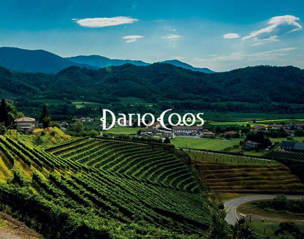 un vignoble avec un signe indiquant dariaolis dans l'établissement Dario Coos srl - Azienda vinicola, 