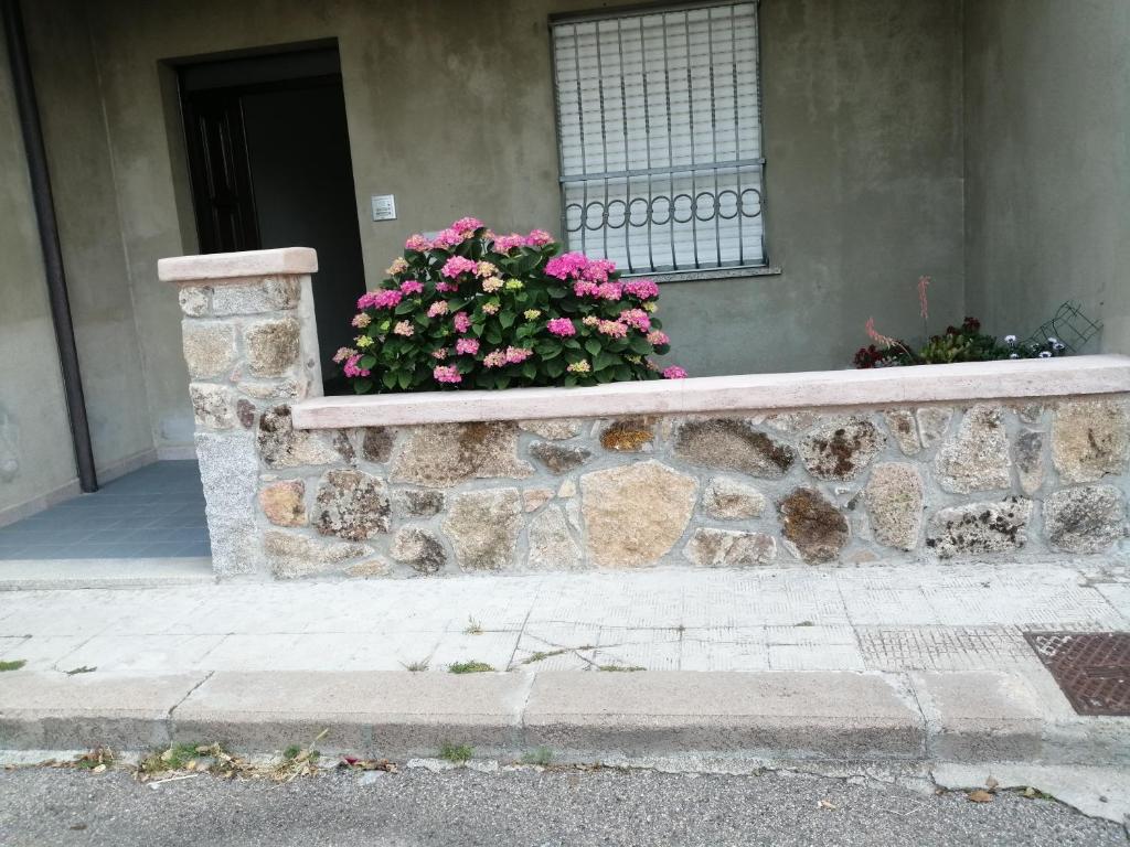 Zdjęcie z galerii obiektu L Agrifoglio di Rita Loddo w mieście Fonni