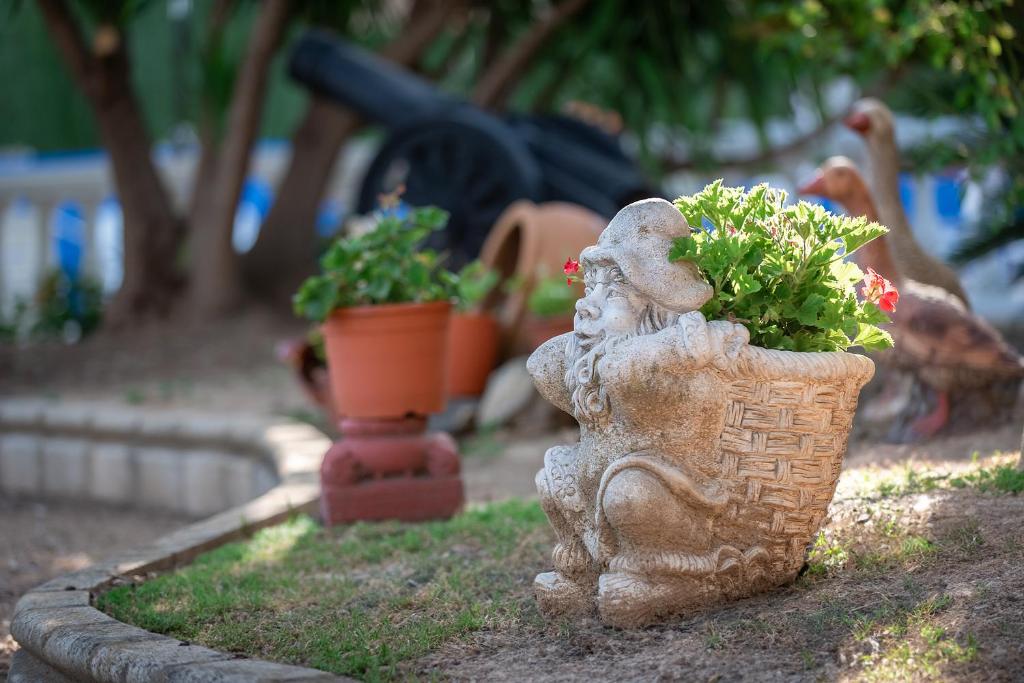 A garden outside Hotel Zeus