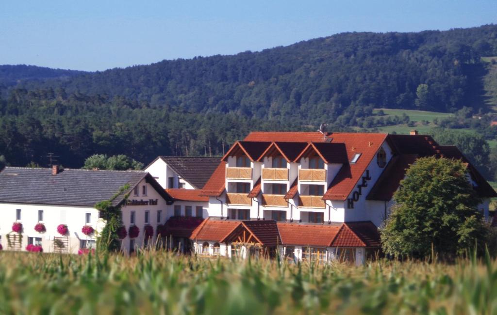 ein Gebäude mit roten Dächern auf einem Grasfeld in der Unterkunft Wagners Fränkischer Hof in Altenkunstadt