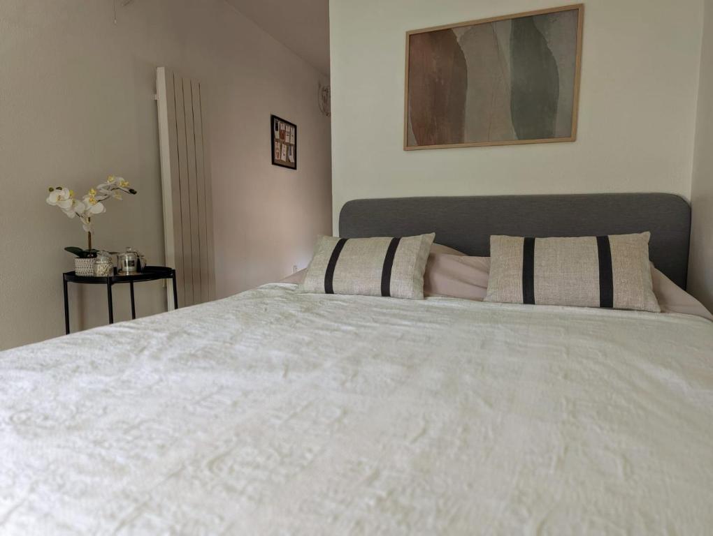 um quarto com uma grande cama branca e 2 almofadas em Plume em LʼIsle-sur-la-Sorgue
