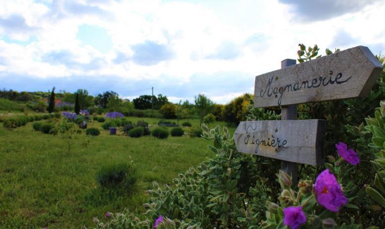 a sign in a field with a field of flowers at AU MAS D'EMMA in Bourg-Saint-Andéol