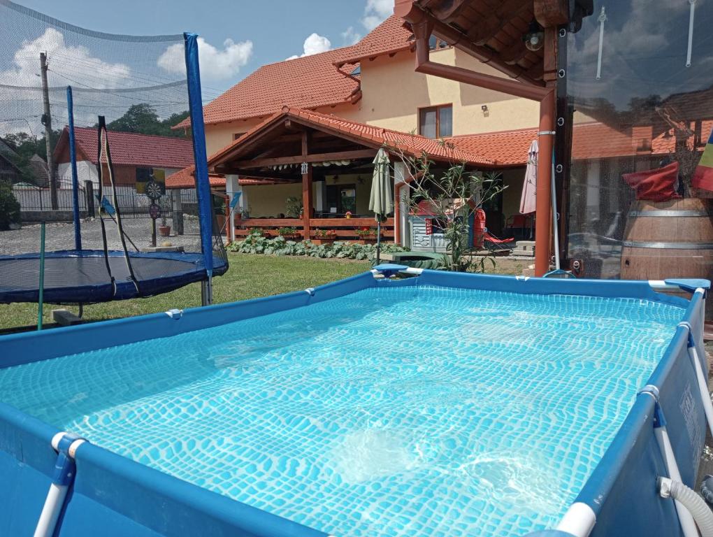 a large blue swimming pool in front of a house at Casa Raisa & Maria in Ocna Sibiului