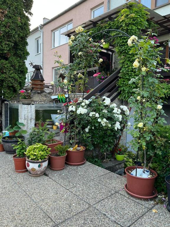 Zahrada ubytování Ubytovani Na Hrazi 91