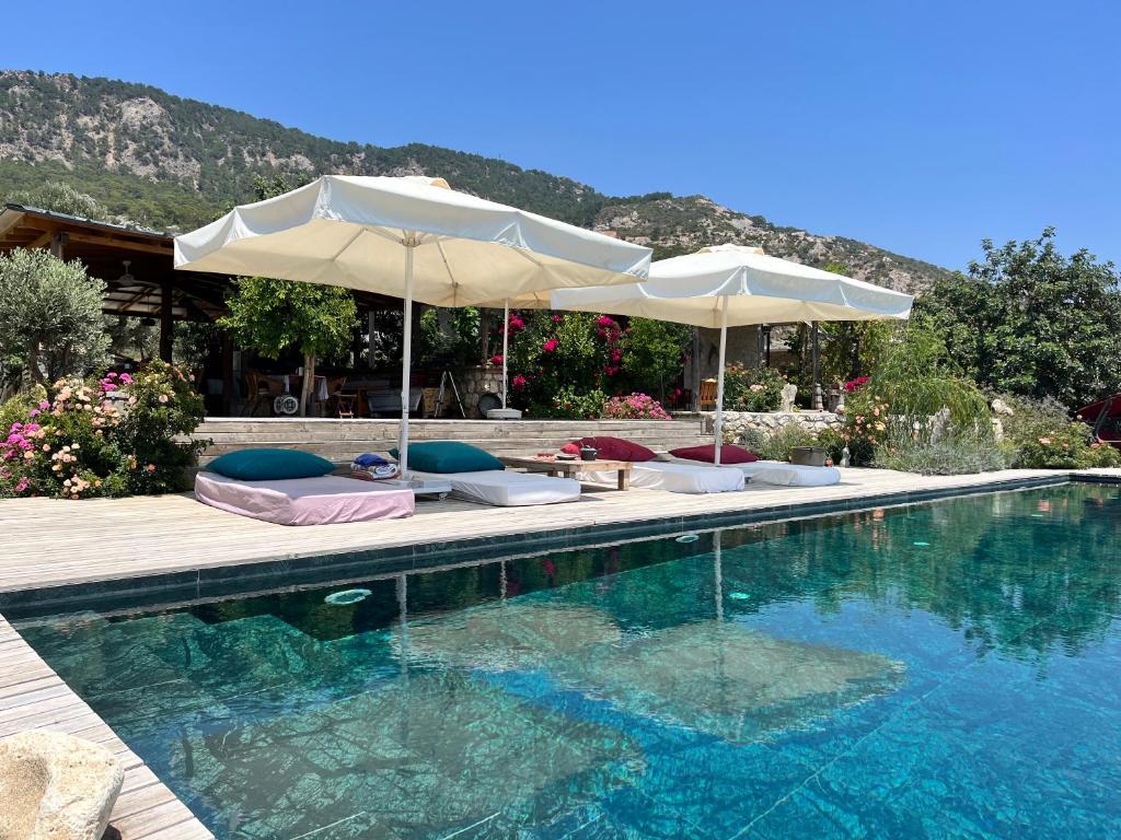 a swimming pool with two umbrellas and chairsitures at Beso Patara in Patara