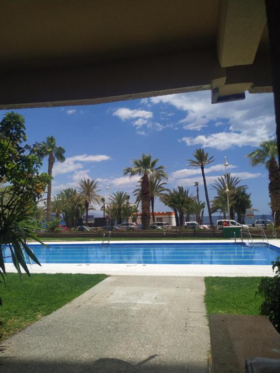 a swimming pool with palm trees in the background at Playa Velilla in Granada