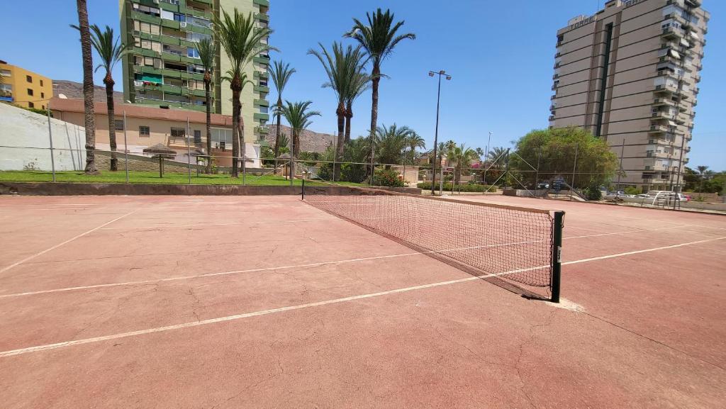 Tenis a/nebo squash v ubytování Vaiana nebo okolí
