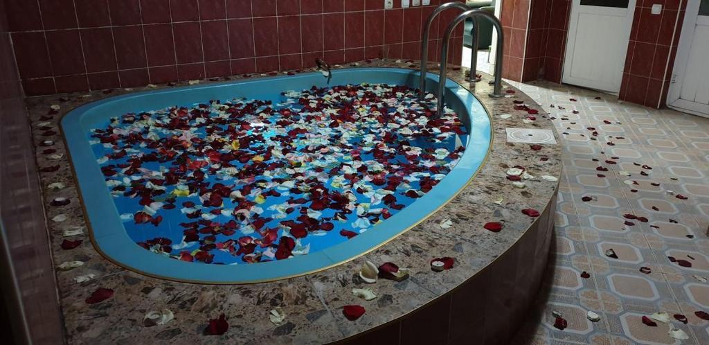 a large group of people in a bath tub at Аренда дома in Durleşti