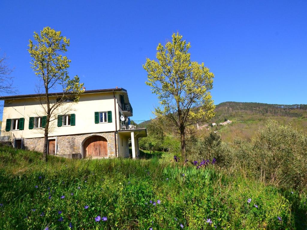 een huis op een heuvel met gras en bloemen bij Spacious home surrounded by nature in Sesta Godano
