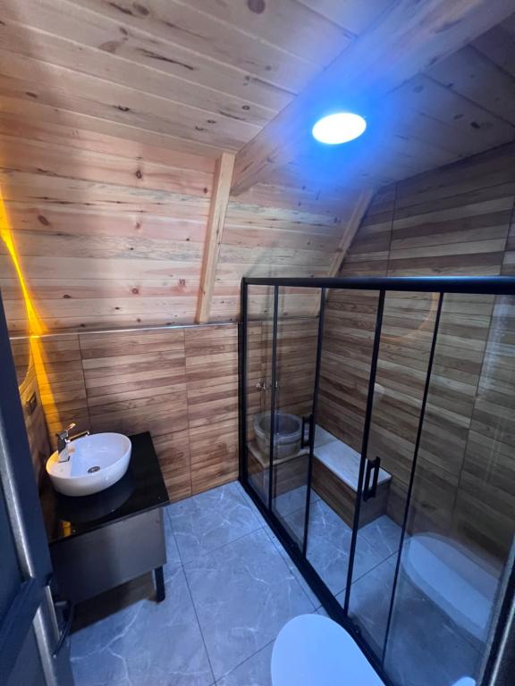 uma casa de banho com um WC e um lavatório num quarto em Elegant Bungalov em Rize
