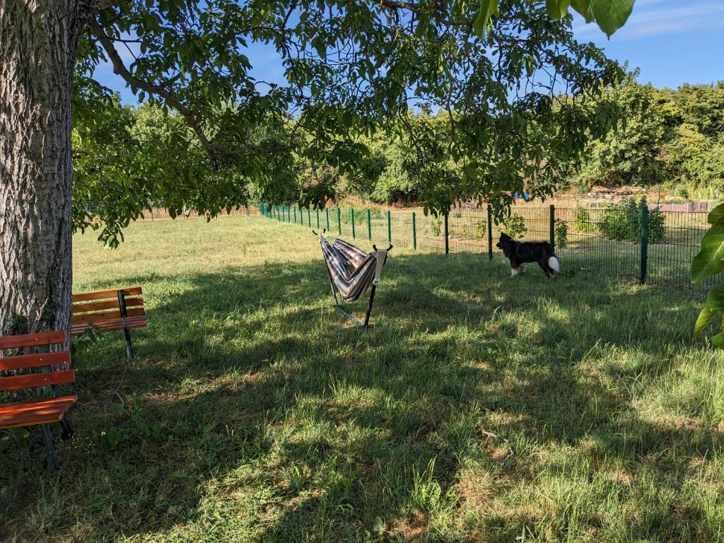 S'bahnhöfle Apartments - 1