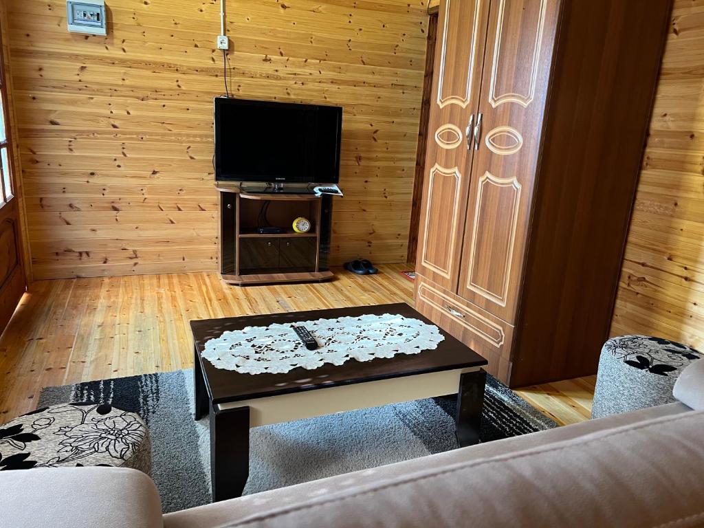 TV a/nebo společenská místnost v ubytování Bujtina Uji I Panjes, Log Cabins