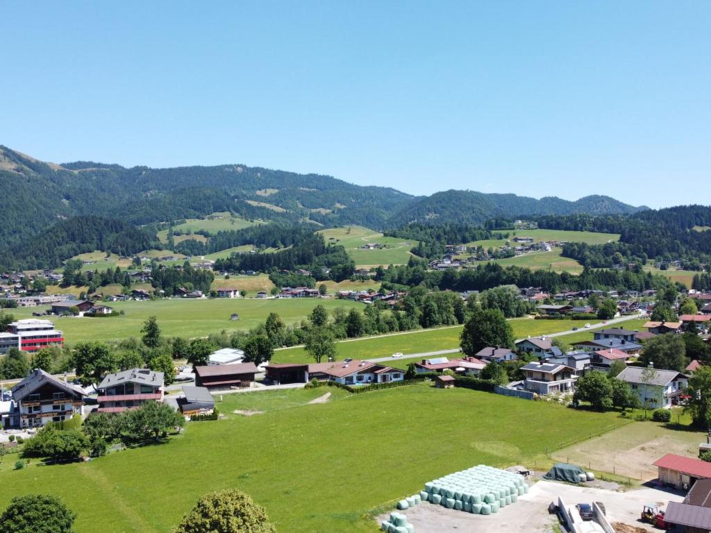 Príroda v okolí horskej chaty