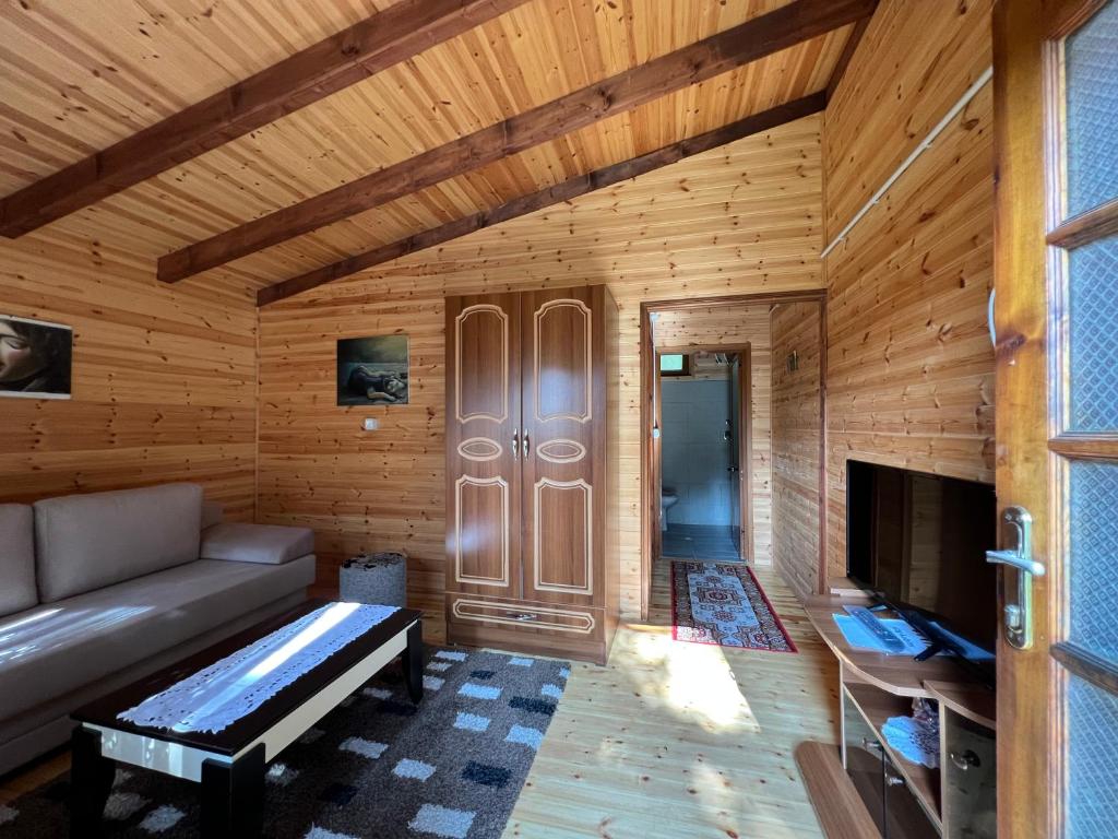 TV a/nebo společenská místnost v ubytování Bujtina Uji I Panjes, Log Cabins