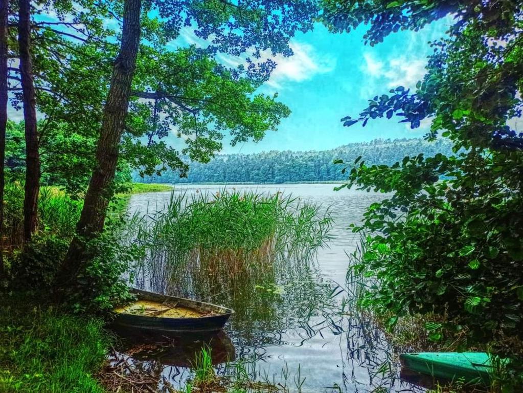 Príroda v okolí dovolenkového domu
