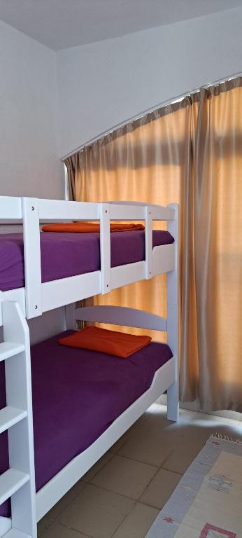 Un par de literas en una habitación en Petrovac Studio Apartment Ana, en Petrovac na Moru