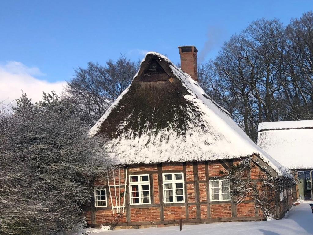 een oud huis met een rieten dak bedekt met sneeuw bij Holiday Home Reethuus by Interhome in Gnarrenburg