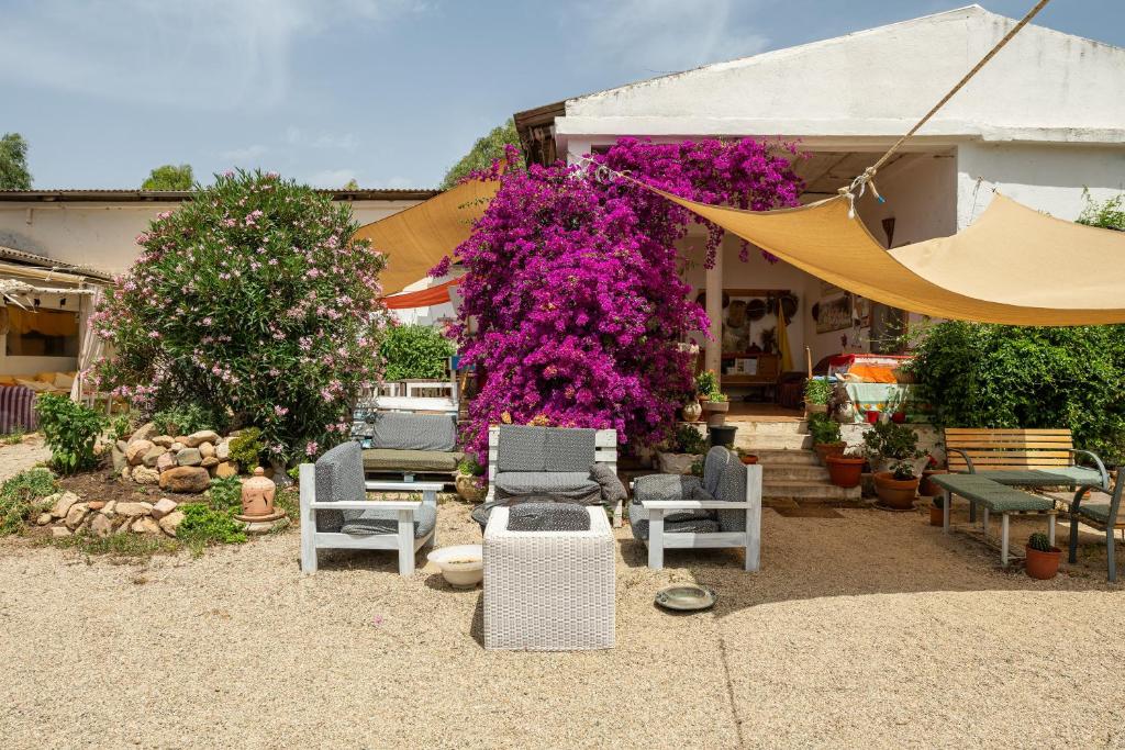 une terrasse avec des chaises et des fleurs violettes devant une maison dans l'établissement La Casetta Rurale - In Our Garden, à Capitana