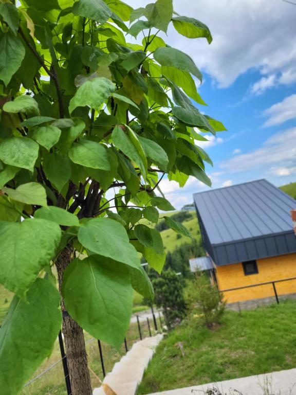 Budova, kde se vila nachází