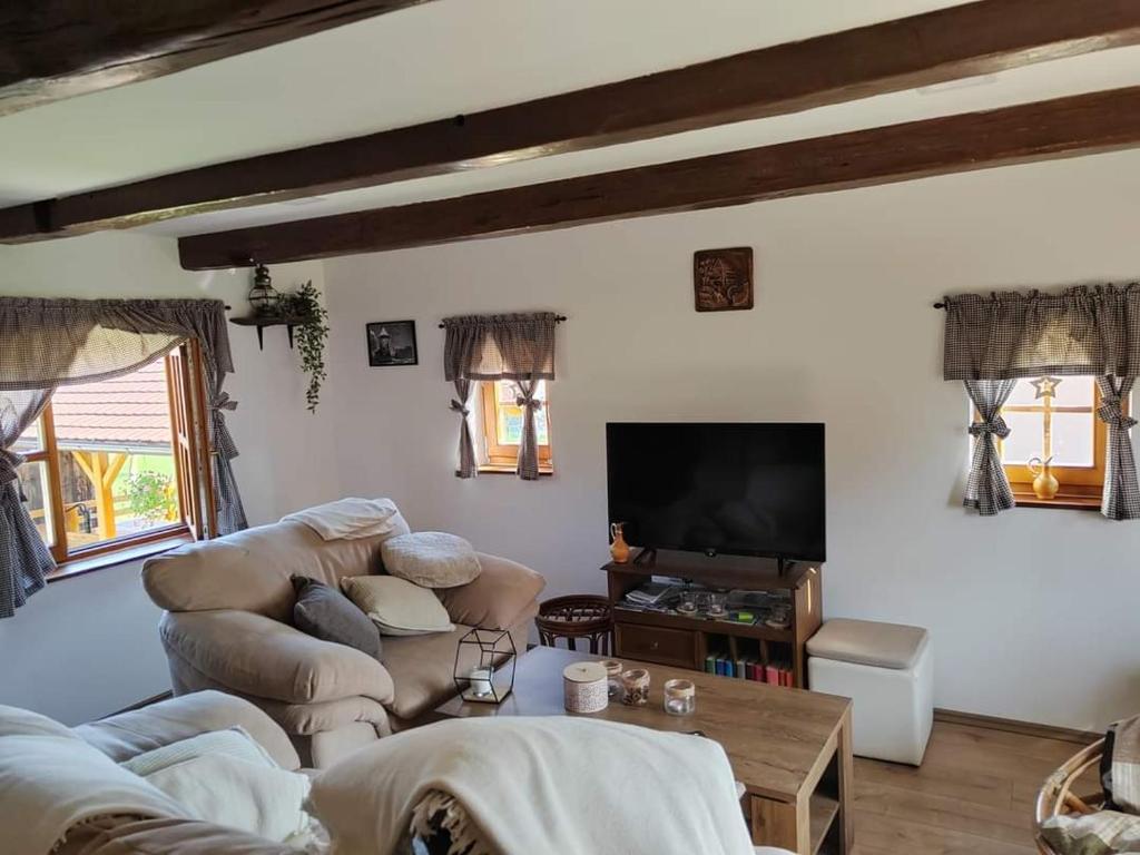 a living room with a couch and a tv at Kuća za odmor Jadra in Duga Resa