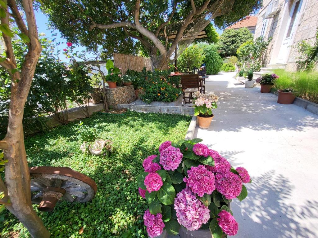 Apartments Miljas - 17