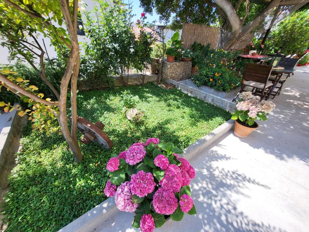 Apartments Miljas - 18