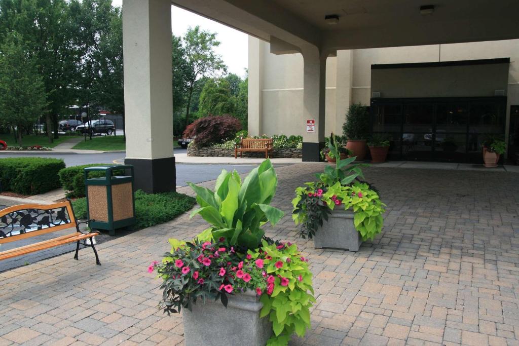 Zahrada ubytování Hampton Inn Long Island/Commack