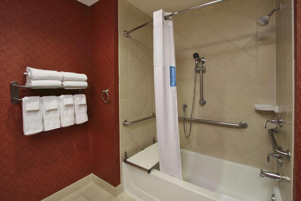 Hampton Inn & Suites Conroe I 45 North - King Studio Suite - Mobiliteitstoegang/niet -roken