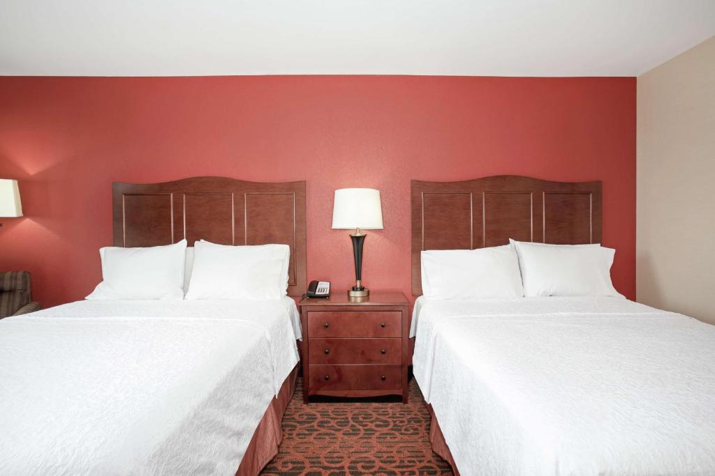 Hampton Inn and Suites Denver/South-RidgeGate - ルーム クイーンベッド2台付 禁煙