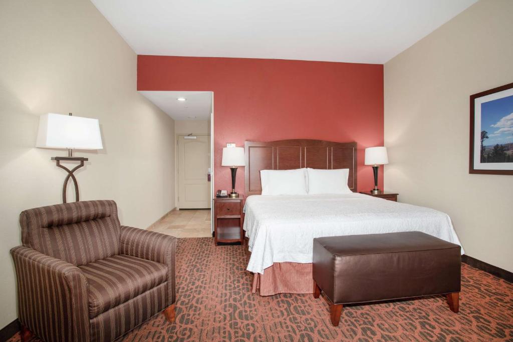 Hampton Inn and Suites Denver/South-RidgeGate - キングルーム 聴覚障害者対応/禁煙