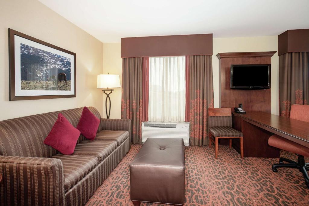 Hampton Inn and Suites Denver/South-RidgeGate - キング スタジオスイート（禁煙）
