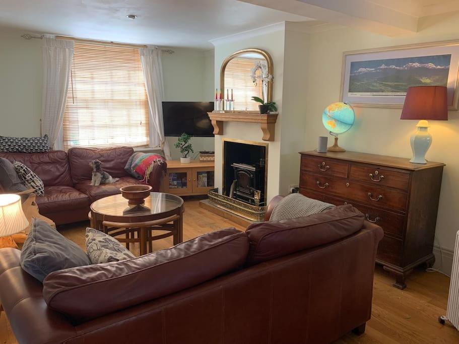 a living room with a couch and a fireplace at Cosy cottage close to shops and pubs in Bishops Castle