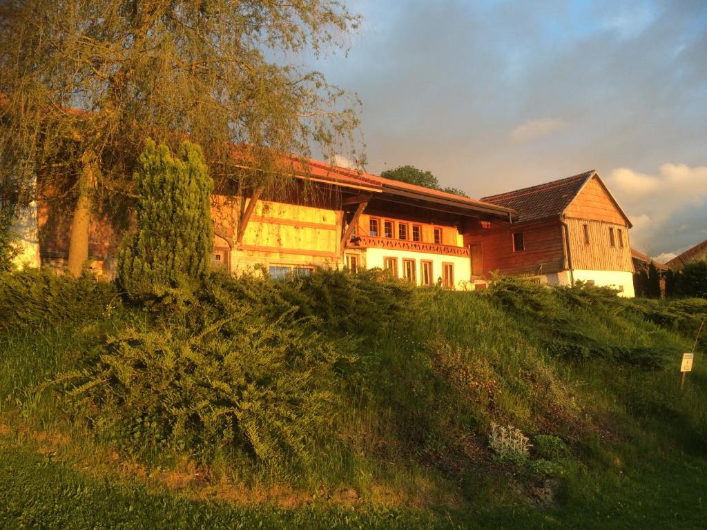 a house sitting on top of a green hill at Les Abeilles in Prez-vers-Siviriez