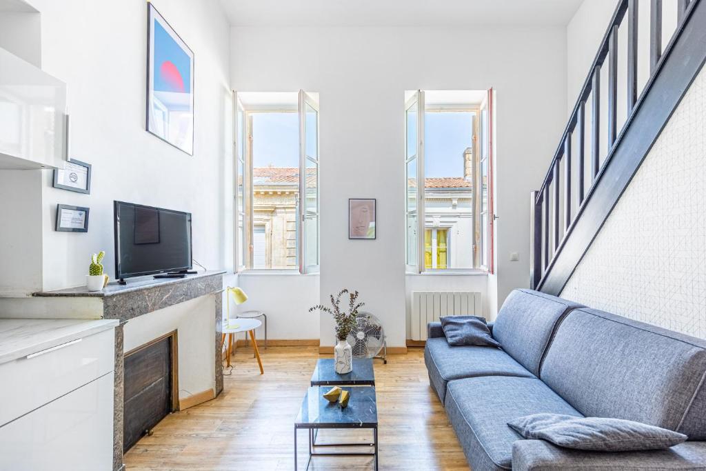 TV a/nebo společenská místnost v ubytování Appartement charmant Bordeaux centre