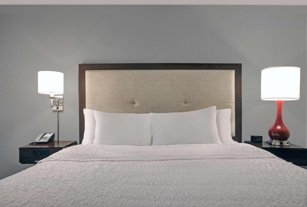 Hampton Inn Greenville/Woodruff Road - King Studio Suite - No Fumar