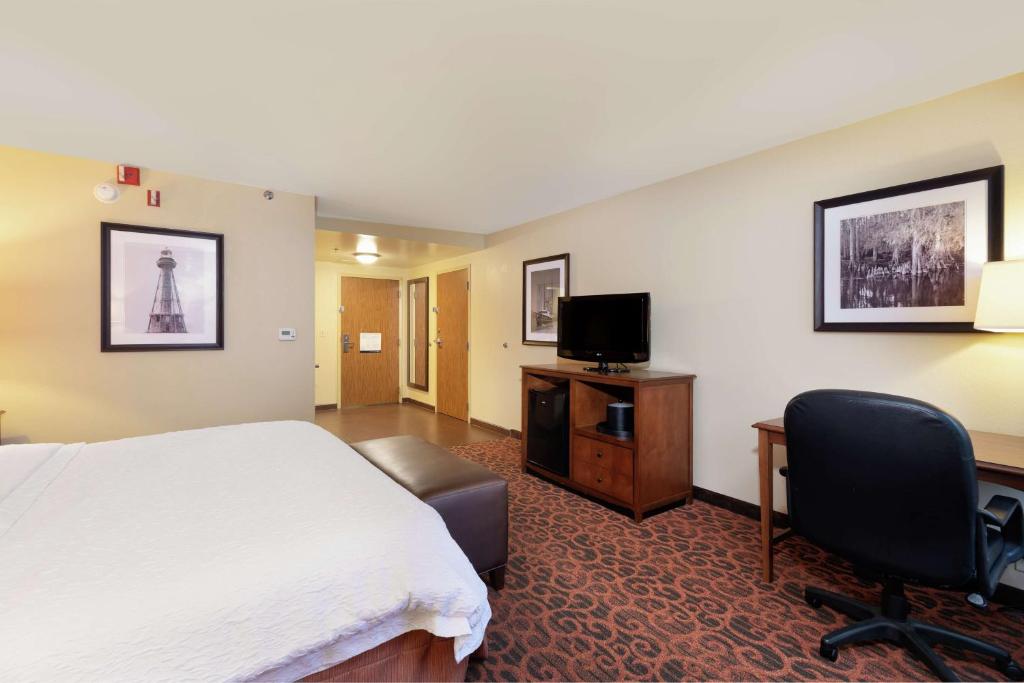 Hampton Inn Houma - King Room - Acceso A Movilidad/no Fumar