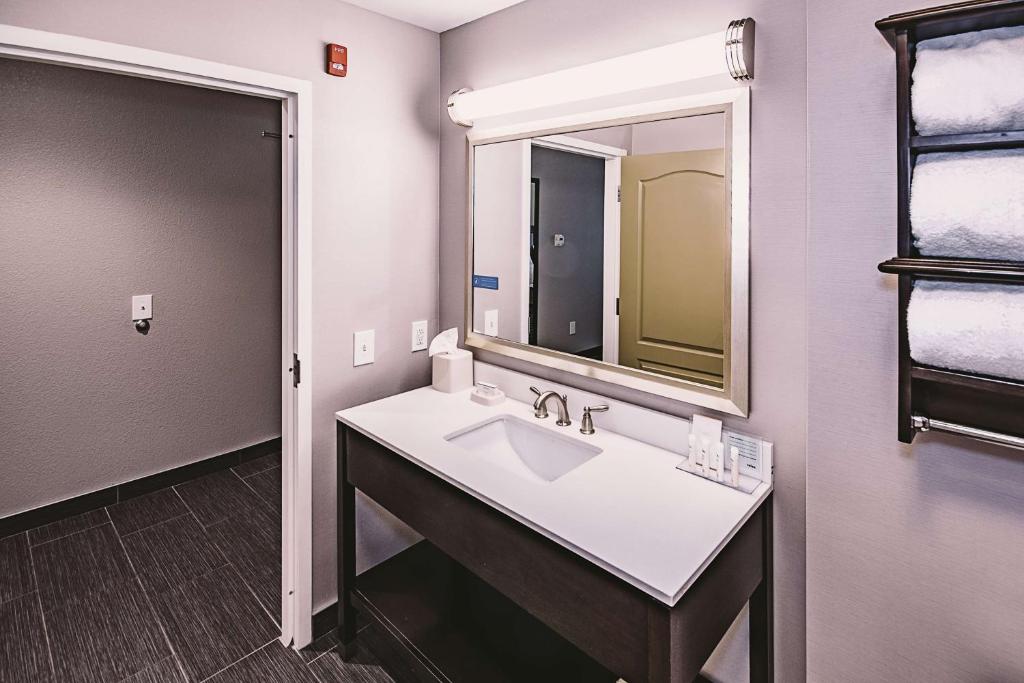 a bathroom with a sink and a mirror at Hampton Inn Niagara Falls/ Blvd in Niagara Falls